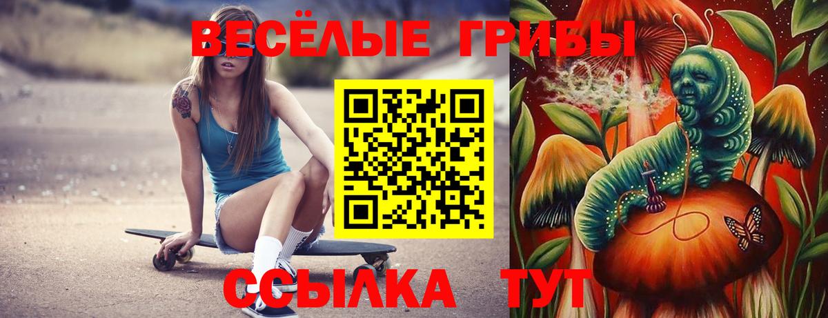 Псилоцибиновые грибы мицелий  Псилоцибиновые грибы Psilocybine cubensis  Вход с VPN  Топки 